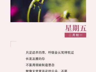 作家日签 | 车延高：不要怀疑梨花的白，不要怪风多话