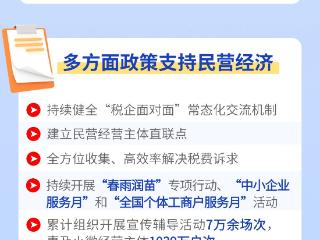 【图解】税惠政策超6成惠及民营经济