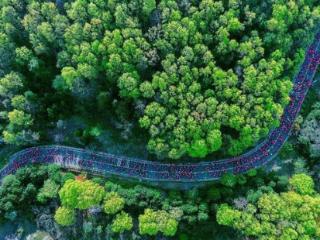 剧透！溧水“最美赛道”新玩法～