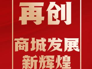 海报图品丨临沂商城国际化推进大会上的金句