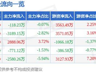 赛轮轮胎（601058）2月28日主力资金净卖出118.23万元