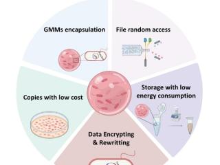 清华大学研发细菌彩珠硬盘：突破DNA存储瓶颈 一个冰箱体积能存2.6亿TB数据