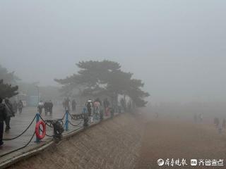 久旱逢甘霖！昨夜青岛普降小雨！周日还有中雨，周一雨雪交织