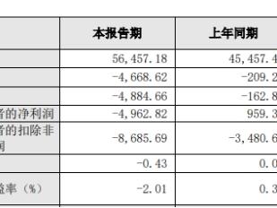 破发股灿瑞科技2024转亏 2022IPO募22亿2023净利降9成