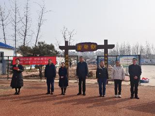 龙腾启新耕 劳动育童心——泰山区凤台学校“耕乐园农场”二月二“春耕节”启动