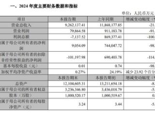 重磅！晶科、天合、阿特斯，发布24年度业绩快报