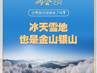 【奋进的春天】习近平的两会之问丨“白雪换白银换来了吗？”