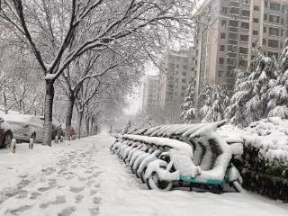 升级暴雪红色预警！淄博发布灾害风险预警提示