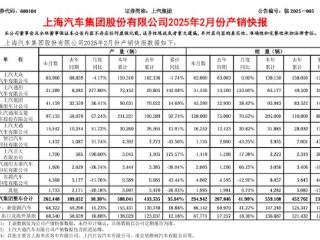 上汽集团2月整车合计销量29万辆 同比增长41.9%