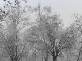 注意！青州这几家景区受雨雪天气影响临时关闭