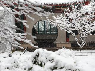 济南漫天大雪，趵突泉景区秒变琼楼玉宇