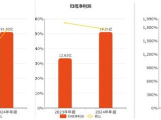 海光信息(688041.SH)：2024年年报净利润为19.31亿元、较去年同期上涨52.87%