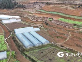 汇川区毛石镇：田间地头春潮涌