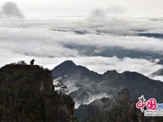 只有一个黄山：春水绵绵，云海涛涛，像最美画卷