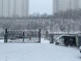 道路结冰降为黄色预警！山东再发雨雪预报，这5个市局部还有暴雪