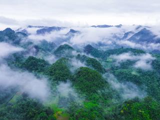 万物共生处 大美不言时｜2025世界野生动植物日贵州影像