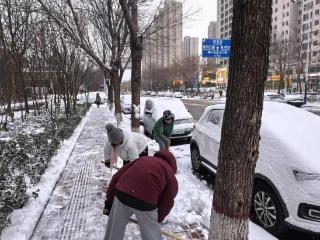 以雪为令！最美自然资源人在行动