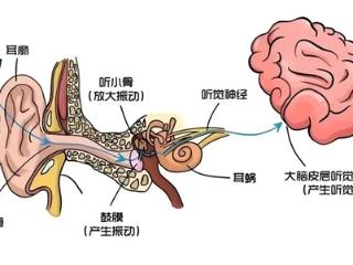 发病率上涨3倍多！好好的年轻人 怎么突然就听不见了