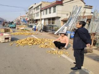 济南市莱芜区寨里镇寨南村开展姜种催芽安全生产宣传活动