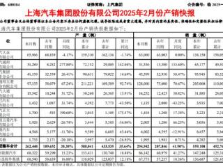 上汽集团2025年2月新能源汽车销量约8.6万辆，同比增长41.3%