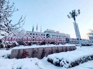 北大医疗鲁中医院：除冰扫雪，用行动绘就“医”路畅通的暖心画卷