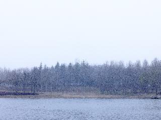 【大河网景】三月飞雪！郑州最新雪景大片来了