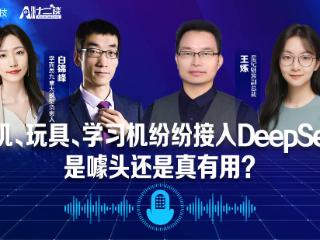 DeepSeek应用落地如何？行业专家：不能“包治百病”，成本比其他国内大模型贵