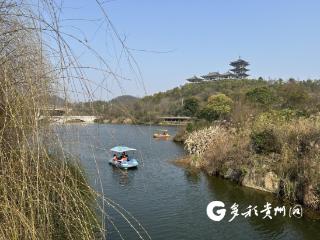 播州区： 踏青赏花享春光 “春日经济”活力旺