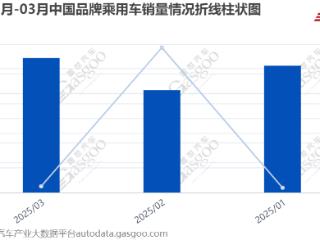 2024年BBA在华销量及市场表现曝光