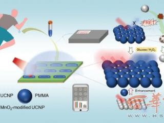 西电团队的“稀土黑科技”可实现汗液测血糖