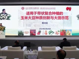 山东潍坊团队受邀参加全国大豆玉米带状复合种植交流会