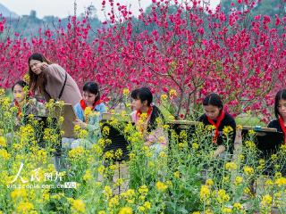 广西苍梧：花间写生绘春光