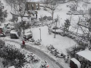 济南：雪后城市披银装，孩童玩雪欢乐多