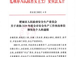 肥城市检察院干警被表扬为“2024年度全市安全生产工作突出个人”