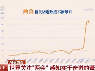 协商、调研、服务……AI带你了解两会高频词都有哪些