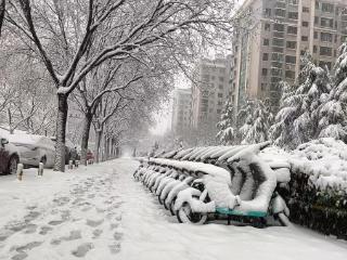 淄博一天降下380个“齐盛湖”的水量，最大积雪厚度16厘米