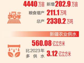 “加码”2025，新疆“西部粮仓”建设再发力