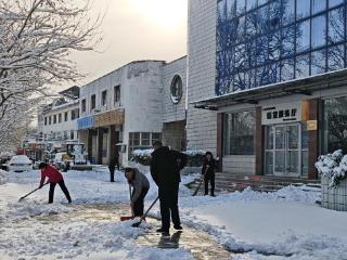 铲冰除雪在行动！淄川农商银行开展学雷锋志愿服务活动