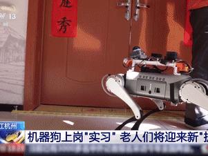 送药、遛狗、驮运重物……机器狗技能值拉满！