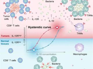 中国科学家破解细菌与肿瘤的“对话”：治疗癌症不再以毒攻毒