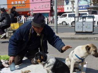 这位老人77岁乞讨为生，却得不到人们同情，只因早年做的那些事