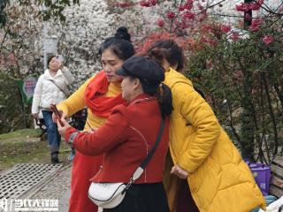 春日赏花正当时！贵阳河滨公园成市民打卡新去处