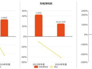 曙光数创(872808.BJ)：2024年年报净利润为6142.44万元、同比较去年同期下降41.21%