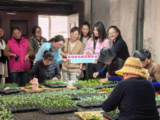 江阴徐霞客镇：“她力量”赋能农文旅，绘就乡村振兴新画卷