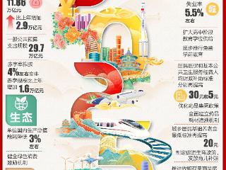 2025年政府工作报告，这些KPI与你有关