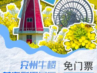 跟着马拉松游济宁丨兖州牛楼花海彩田景区免门票攻略来啦