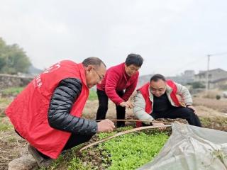 雷锋月里“香溢”红 情暖乡村笑意浓