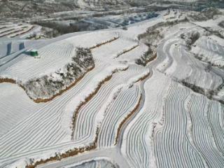 雪中显担当，温情护“金苗”