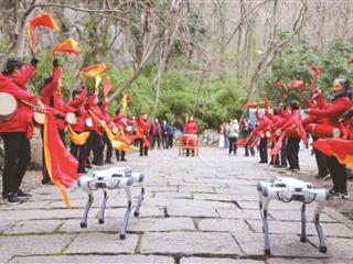 翁家山“喊山祭茶” 龙井茶预计3月18日左右开采