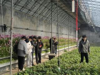 青岛农业大学“青春先锋”团队赴张家楼画美达尼青岛市级乡村振兴示范片区调研